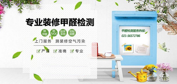 上海環(huán)境檢測(cè)咨詢服務(wù)有限公司